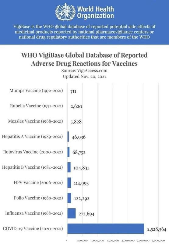 vigibase-de-l-onu-et-le-vaccin-covid-19-qui-engendre-des-effets-secondaires-en-quantite-inedite.jpg