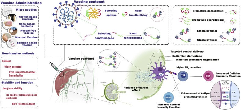 Illustration schématique des méthodes d’administration non invasives et des avantages des nanovaccins.