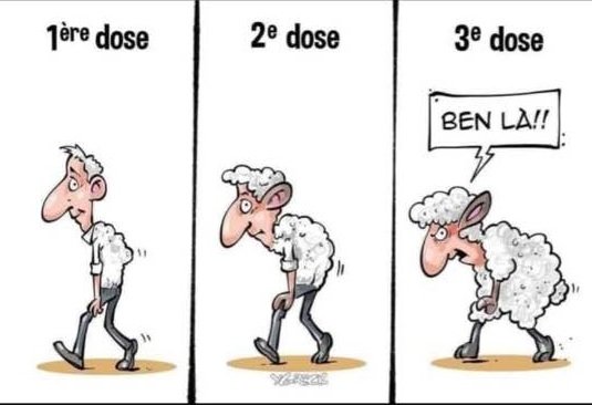 1-2-3-doses-de-docilite-covid-19.jpg