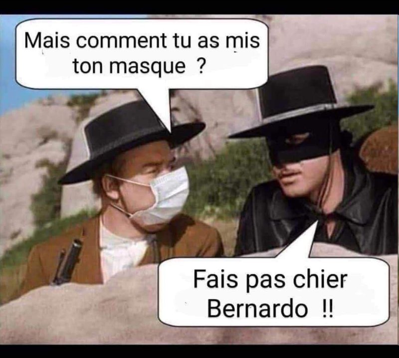 bernardo-qui-questionne-zorro.jpg