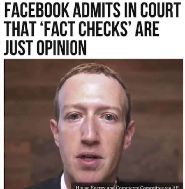 les-fact-checkers-emettent-des-opinions.png