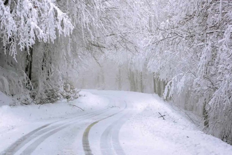 chemin-en-hiver.jpg