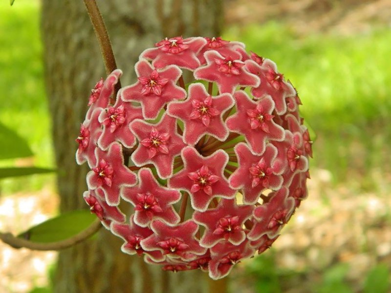 geo-nature-1.jpg