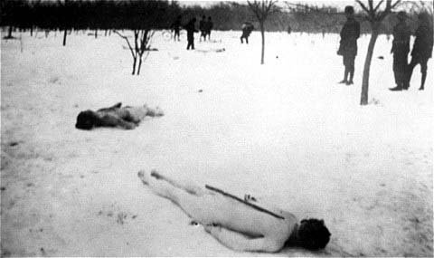 Cadavres de Juifs dénudés, dans la neige, dans la forêt de Jilava.