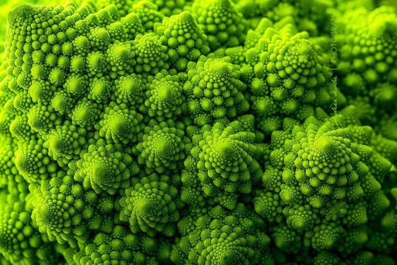 geo-nature-3.jpg