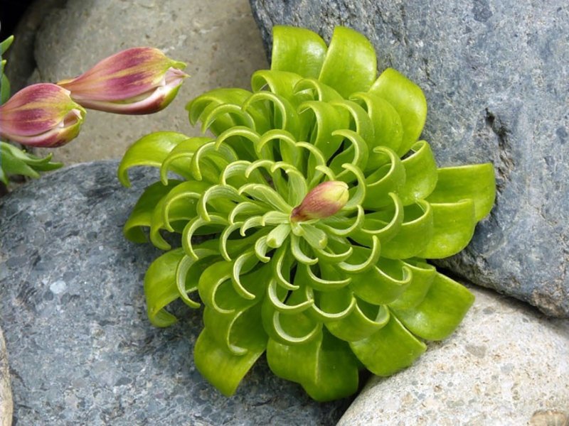 geo-nature-4.jpg
