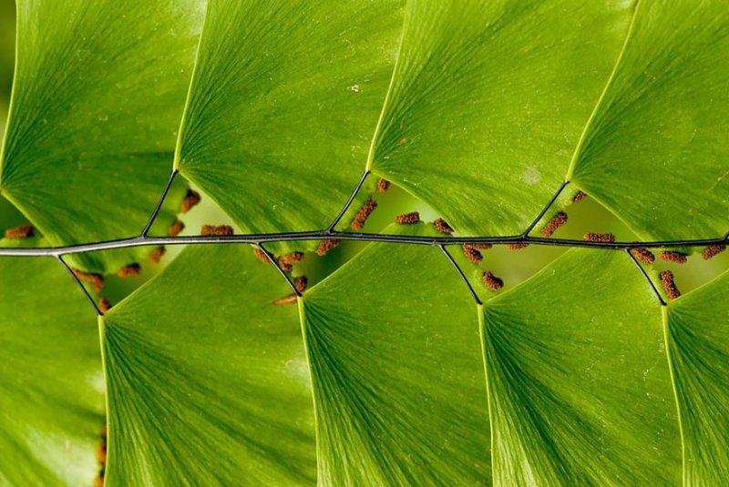 geo-nature-5.jpg