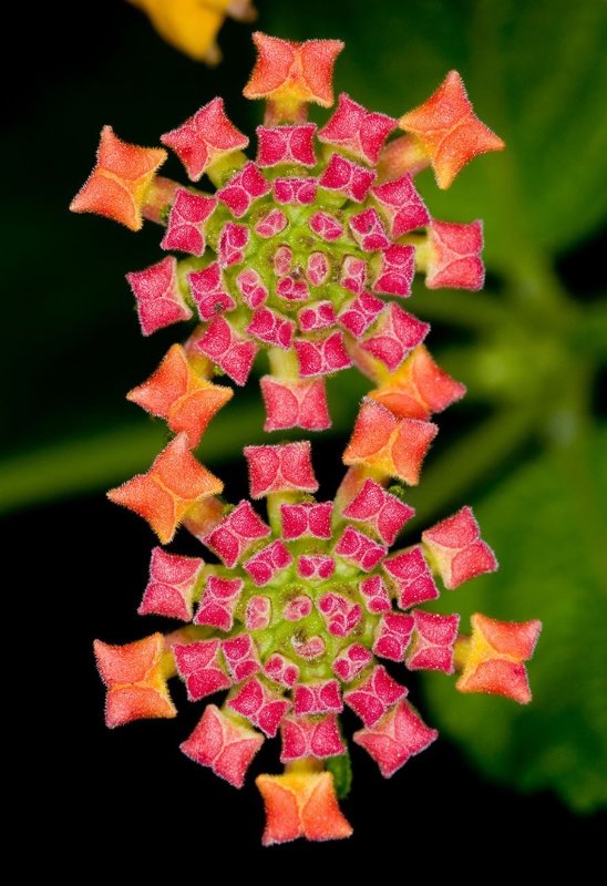 geo-nature-6.jpg