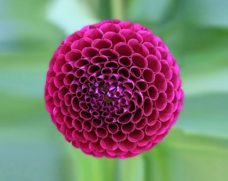 geo-nature-7.jpg