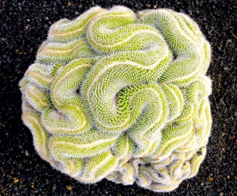 geo-nature-8.jpg