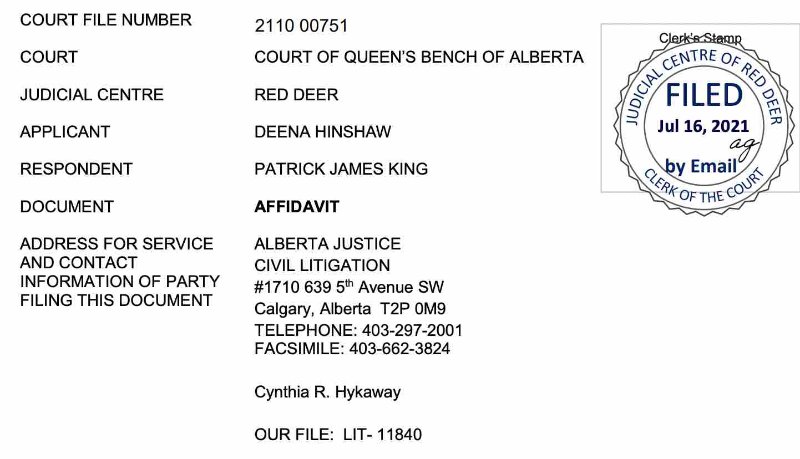 la-cause-de-patrick-king.jpg