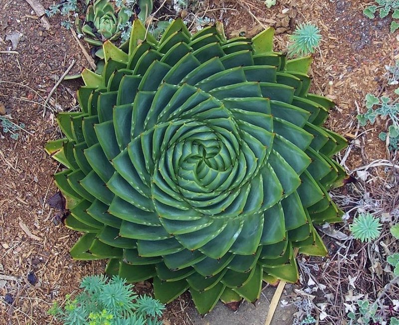 geo-nature-10.jpg