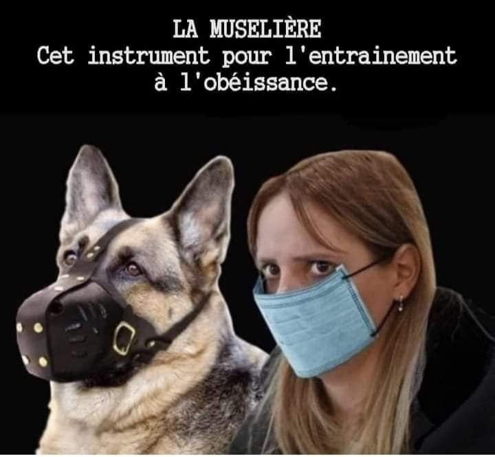 la-museliere-pour-apprendre-a-obeir-et-devenir-docile.jpeg