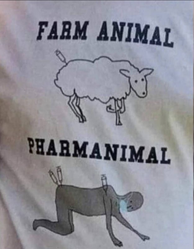 are-you-a-pharmanimal.jpg