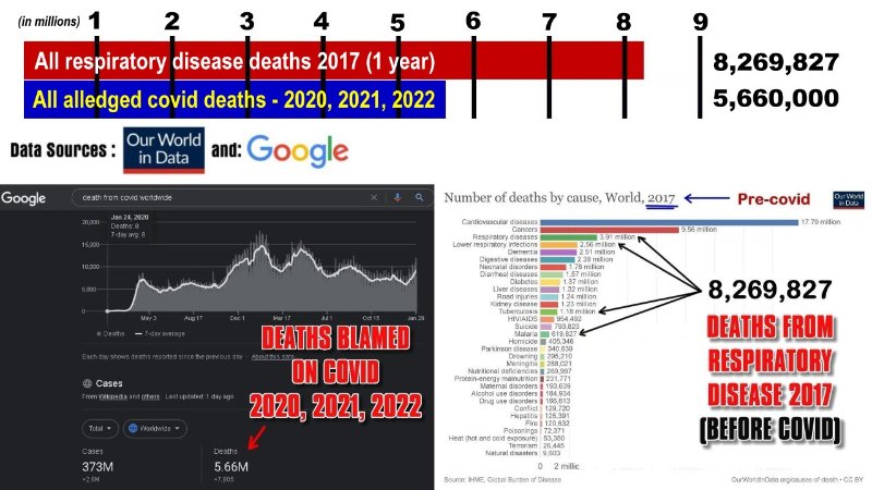 les-morts-respiratoirs-pre-covid.jpg