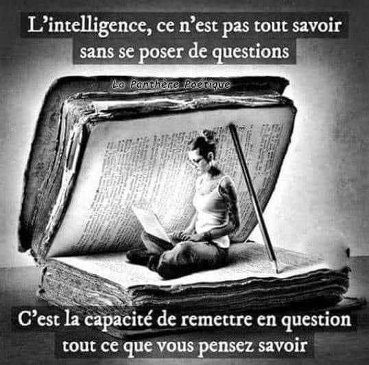 l-intelligence-c-est-la-capacite-de-remettre-en-question-tout-ce-qu-on-pense-savoir.jpg