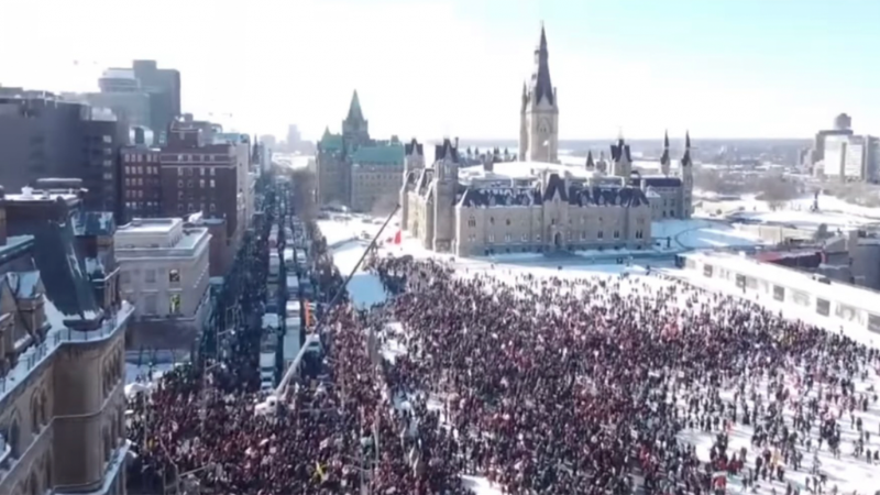 le-convoi-a-ottawa-le-29-janvier-2022.png