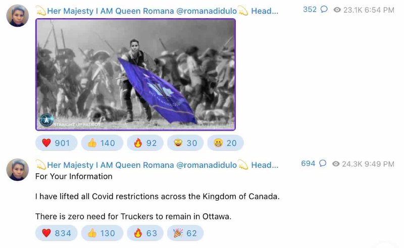 romana-didulo-tente-de-faire-partir-les-camionneurs-d-ottawa.jpg