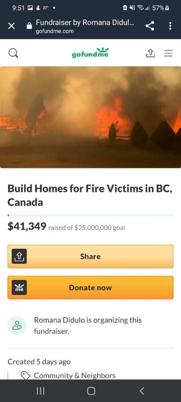 le-gofundme-de-romana-didulo.jpg