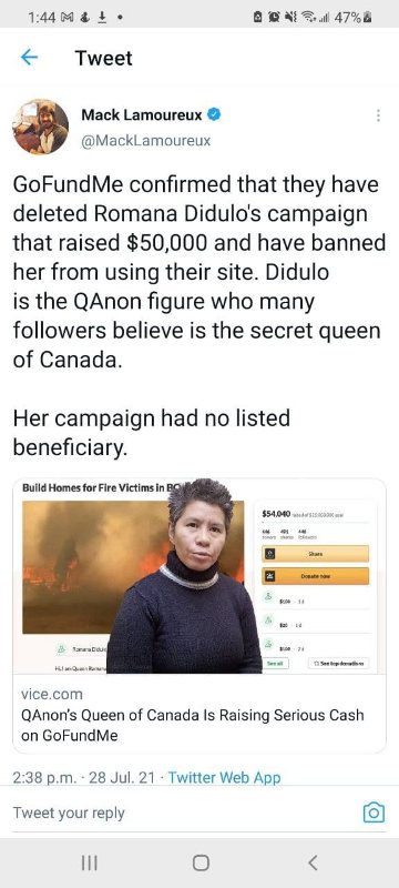 romana-didulo-bannie-de-gofundme.jpg