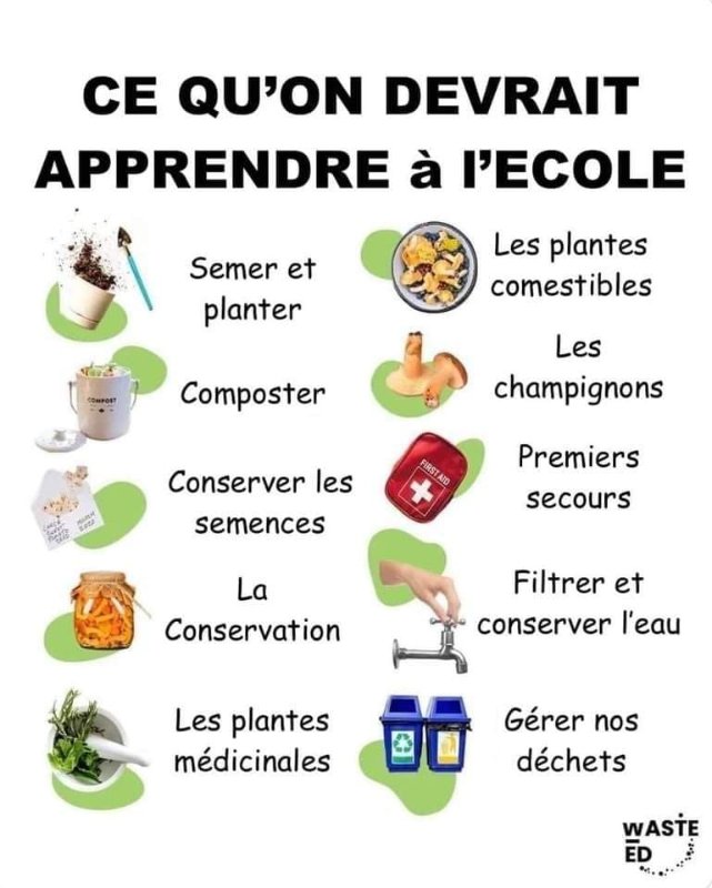 ce-qu-on-devrait-apprendre-a-l-ecole.jpg