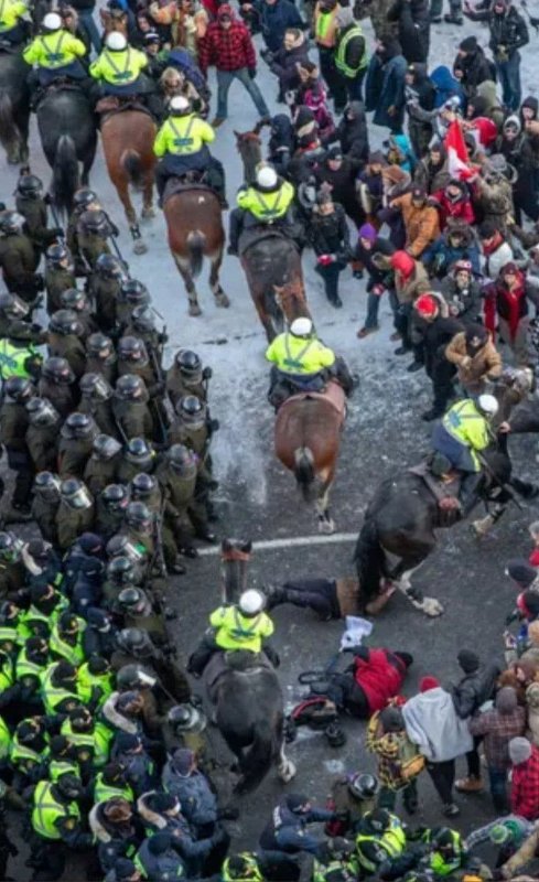 femme-avec-une-marchette-pietinee-par-un-cheval-de-la-police-de-la-grc-le-samedi-19-fevrier-2022.jpg