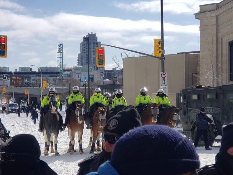 des-policiers-a-cheval-pour-blesser-les-canadiens.jpeg