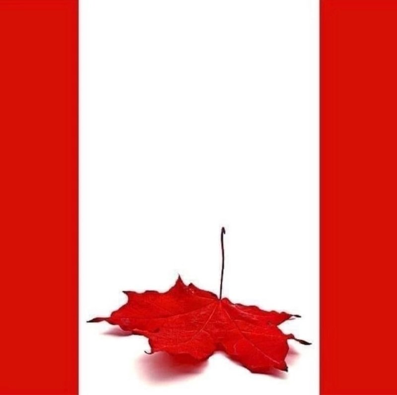 le-canada-est-sous-attaque-etrangere.jpeg