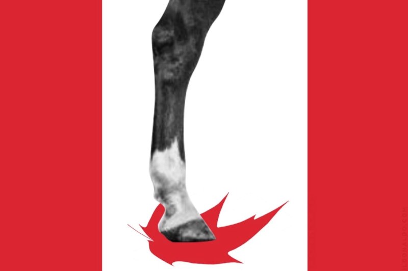 les-policiers-d-ottawa-sont-la-honte-du-canada-dans-le-monde-entier.jpeg