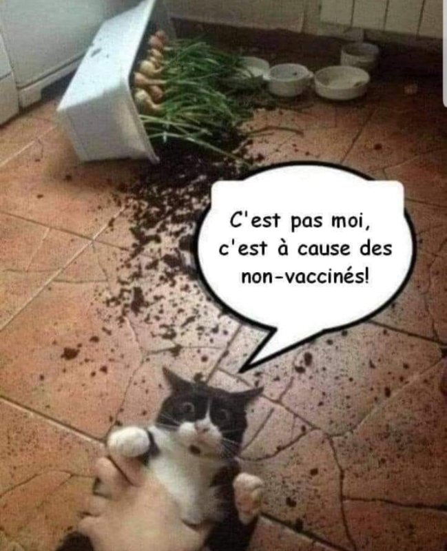 c-est-a-cause-des-non-vaccines.jpg
