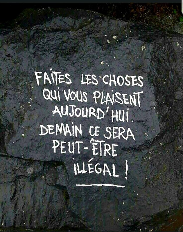 ce-sera-peut-etre-illegal.jpg
