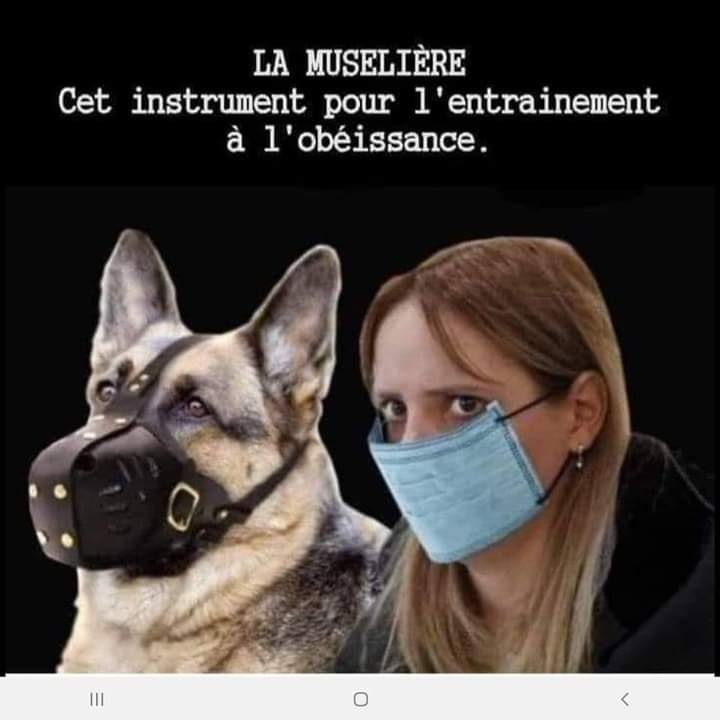 la-museliere-pour-entrainer-a-l-obeissance.jpg