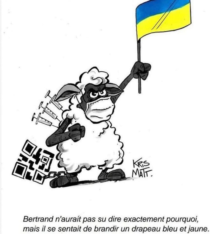 les-moutons-veulent-aider-l-ukraine.jpg