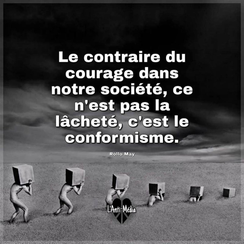 lachete-et-conformisme-qui-deshumanisent.jpg