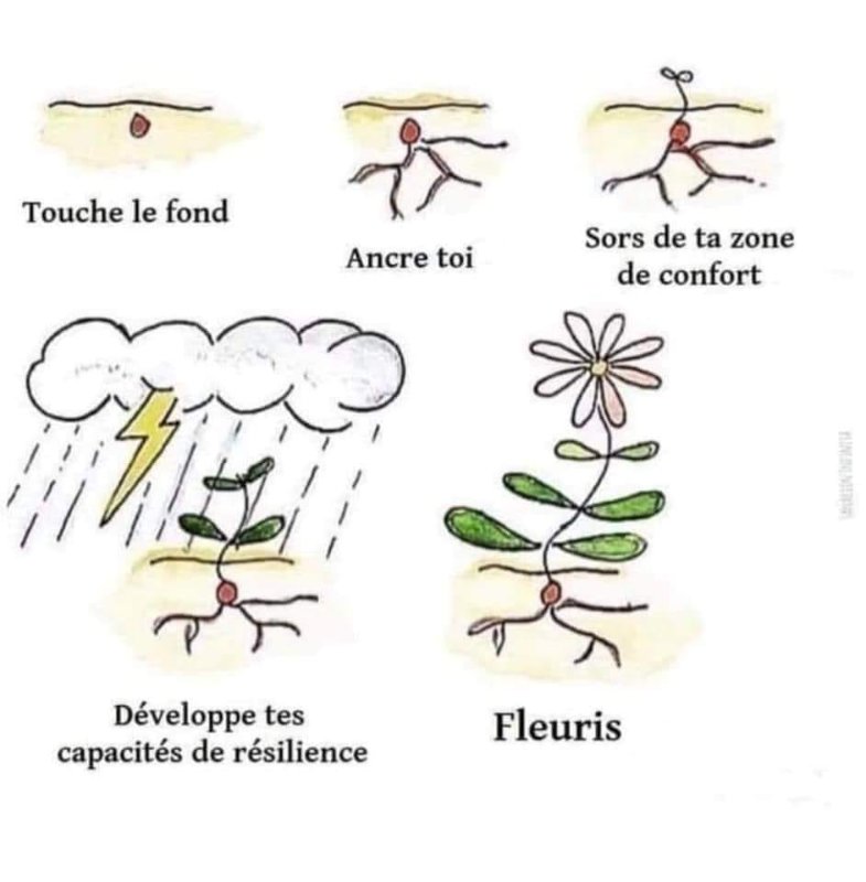 toucher-le-fond-pour-mieux-fleurir.jpg