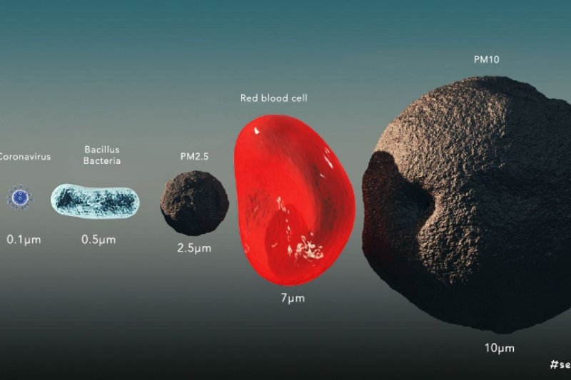 taille-d-une-particule-de-coronavirus.jpg
