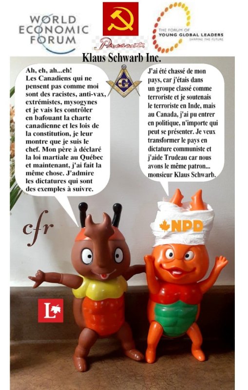 les-mondialistes-des-partis-liberal-et-neo-democrates-a-ottawa.jpg
