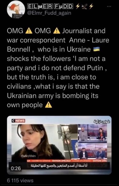 anne-laure-bonnell-dit-le-verite-a-propos-de-l-ukraine.jpg