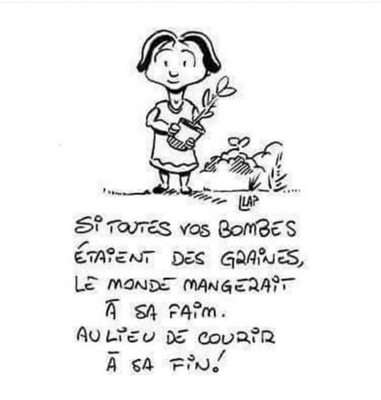si-les-bombes-etaient-des-graines.jpg