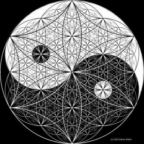 le-ying-et-le-yang-avec-une-fleur-de-vie.jpg