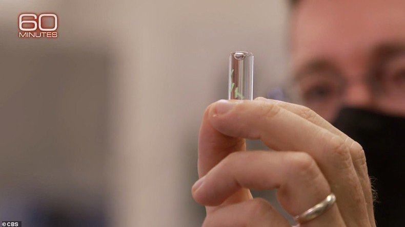 puce-pour-detecter-la-covid-darpa.jpeg