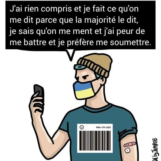 les-moutons-qui-sont-pour-l-ukraine-sans-discernement.jpg