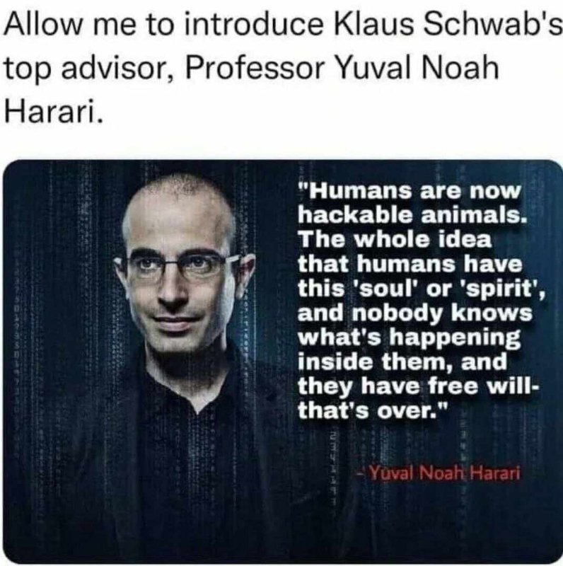yuvel-noah-harari-du-fem.jpg