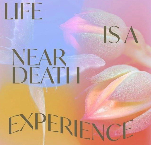 la-vie-est-une-experience-de-mort-proche.jpg