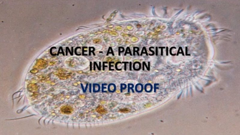 le-cancer-est-une-infection-parasitaire.jpg