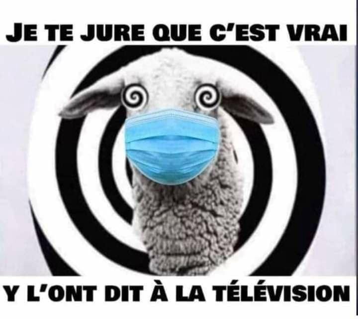 je-te-jure-que-c-est-vrai-ils-l-ont-dit-a-la-tele.jpg