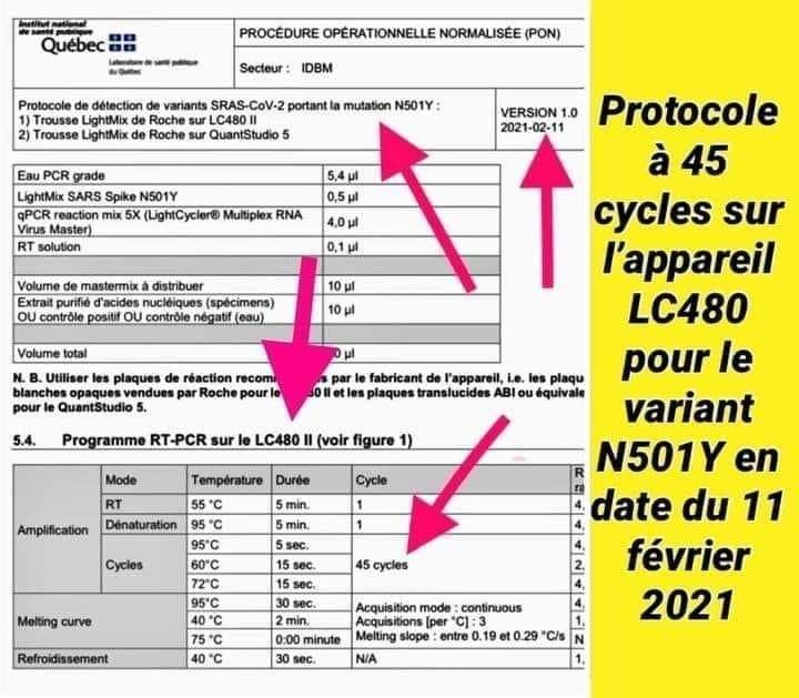 preuve-des-45-cycles-du-test-pcr-au-quebec.jpeg