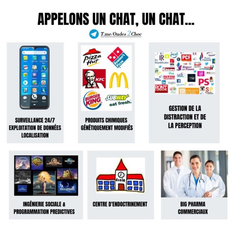 appelons-un-chat-un-chat-dans-ce-monde-dystopique.jpg
