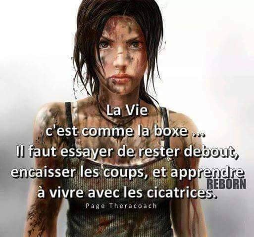 la-vie-comme-la-boxe.jpeg